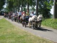 /album/menrit-04-06-2011/zeeuwse-menrit-juni-2011-012-jpg/